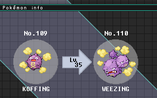 koffing to weezing